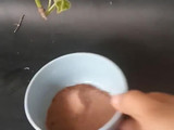 Puding Coklat Susu Edible Flower