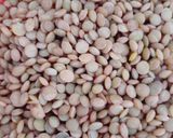 عکس مرحله 1 از دستور آش رشته