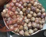 Foto langkah ke 1 dari resep Black Garlic Home Made.
