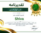 عکس مرحله 5 از دستور رولت نان و پنیر و سبزی