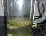 Foto del paso 4 de la receta: Pollo a la cerveza