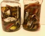 Foto del paso 8 de la receta: Anchoas a la sal y aceite de oliva