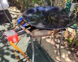 Foto del paso 1 de la receta Paella de pollo con verduras