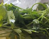 Foto del paso 7 de la receta: Agua Fresca Verde