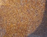 A picture of step 1 of Jain Whole Ragi and Rawa Upma.