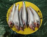 ঝাল পাবদা(jhal pabda recipe in bengali) রেসিপি ধাপ - 1 ছবি