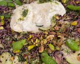 Une image de l'étape 5 de Carpaccio de courgettes, burrata fondante & pesto frais.