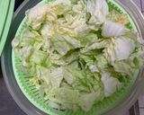 乾隆白菜的食譜步驟1照片
