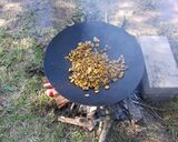 Foto del paso 4 de la receta: Discada