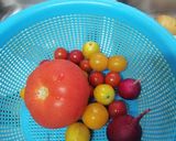 Foto del paso 1 de la receta: Tomates en Primavera