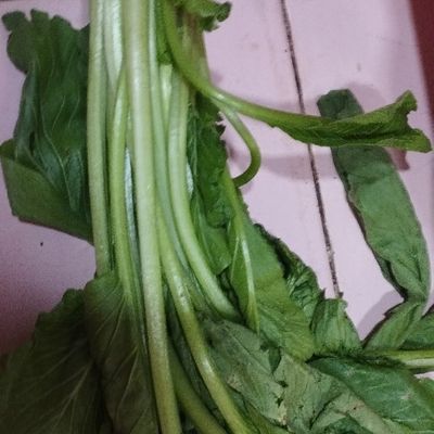 Langkah 7
