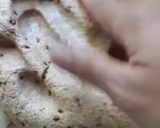 Foto del paso 2 de la receta: Pancitos integrales rellenos de paleta y queso🤓