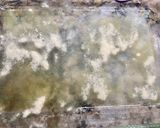A picture of step 4 of Fluffy Crustless Zucchini Pie.