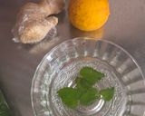Foto del paso 1 de la receta: Jugo o licuado de pepino, jengibre fresco, limón, menta y toque de sal marina 🌊 🌱 🍋 🫚🥒