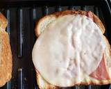 Grilled lunch recipe step 4 photo
