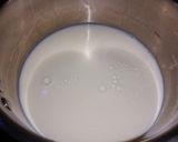 Foto del paso 3 de la receta: Helado de coco fácil