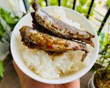 Hình bước làm 6 của món Cá Nục Nhí Kho Cay