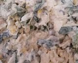 A picture of step 4 of Chicken Salad.