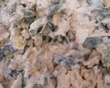 Foto del paso 4 de la receta: Ensalada de Pollo