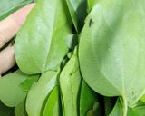 Hình bước làm 1 của món Sương Sâm!