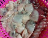 Foto langkah ke 1 dari resep 29. Judul : kepah lada hitam.