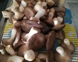Foto del passaggio 1 della ricetta Cardoncelli sott'olio🍄