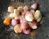 Foto langkah ke 2 dari resep 1319. Opor Paha Ayam Fillet tanpa santan.