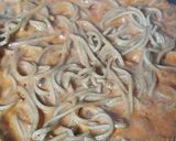 Foto langkah ke 3 dari resep Creamy lemonilo.