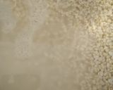 A picture of step 1 of Dahi vada.