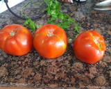 Foto del paso 7 de la receta: Marmitako de bonito bueno y rico de la Brigada espartana