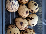 Tumis Kacang Panjang, Tahu, Telur Puyuh tanpa MSG