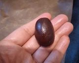 عکس مرحله 11 از دستور کوکی دانه قهوه solmaz