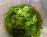 Foto del paso 2 de la receta: Ajo y perejil en aceite