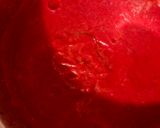 Foto del paso 9 de la receta: Mi sopa de verano, borsch y gazpacho, fácil y sabrosa