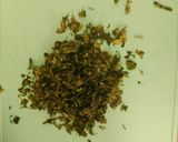 Foto del paso 1 de la receta Calamar con Ajo y Perejil
