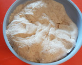 Foto del paso 7 de la receta: Pan rústico natural
