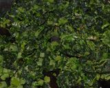 Foto del paso 2 de la receta: Kebbe de vegetales y nuez