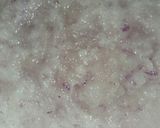 A picture of step 3 of Chatpata Gosht.