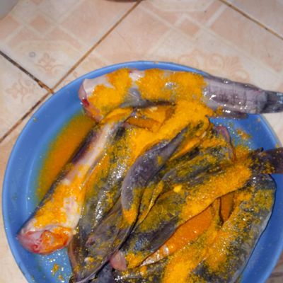 Langkah 1