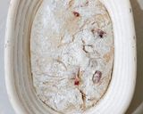 Foto langkah ke 12 dari resep Cranberries Sourdough Bread 77%.