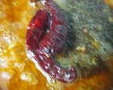 A picture of step 4 of Bisi bele bath.