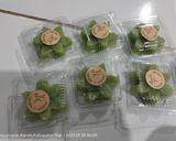 Foto langkah ke 7 dari resep Lapis Pandan Tepung Beras.