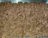 Foto del paso 1 de la receta: Torta de yogurth