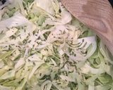 Foto del passaggio 2 della ricetta Anatra con cavolo verza al Barbaresco