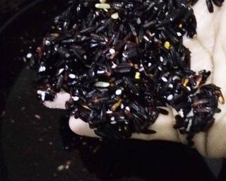 Che Hun Tiau Khas Pontianak - Step 3