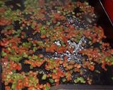 Foto del paso 2 de la receta: Paella