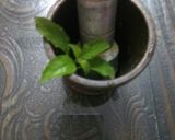 A picture of step 1 of Tulsi haldi mix kadha.