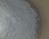 Foto del paso 3 de la receta: Pan de semillas y centeno