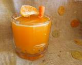 Carrot Orange Juice recipe step 4 photo