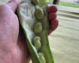 A picture of step 2 of Broad bean & pecorino salad.